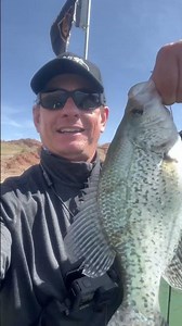 Crappie at #LakeMead