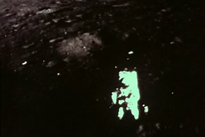 1970s - Various shots from NASA of astronauts and vehicles on the moon.