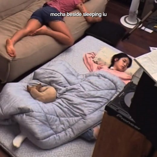 IU and Mocha's Heartwarming Connection | Lee Hyori's Bed and Breakfast