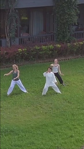 Find your peace with Tai Chi #martialarts #chenstyletaiji #qigong #kungfu #taichinh #taichi