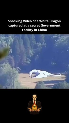 Hidden Protocol 👁️ on Instagram: "💀 Shocking Video of a “White Dragon” at a Secret Facility in China 👁️🐉 The footage looks unreal. A massive white shape behind fences, lights flickering, guards rushing the camera away. Some call it CGI. Others say it’s a biological experiment. Whatever it is, the clip vanished almost instantly. When something disappears that fast, it’s because it wasn’t meant to be seen. 📖 Comment BOOK and I’ll show you why some videos are