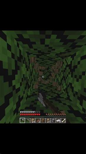 MC_Tester on Instagram: "Bro literally started crying in game ... #instagram #minecraft #mob #why"