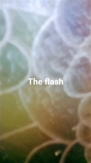 yo guys i found the flash logo in my house