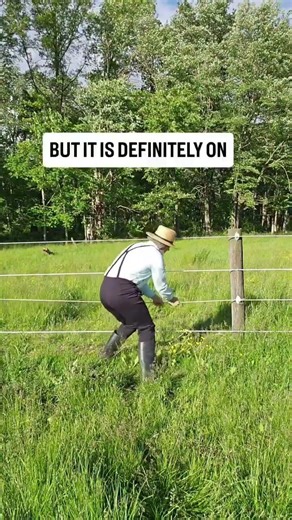 What happens when an Amish man touches an electric fence.