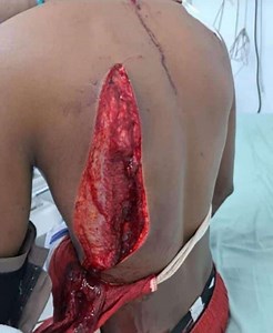 Man Shoved By Cow At Festival