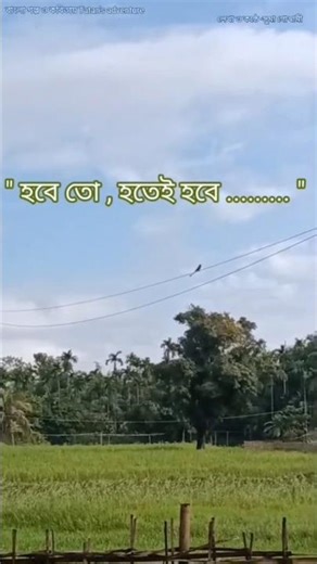 Bengali Poetry for a Peaceful Evening#BengaliPoetry #BengaliLiterature#PoetryLovers #KolkataPoetry