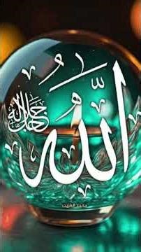 🌹❤️#naat #beautiful #shorts #islamicstatus #ytshorts #tiktok