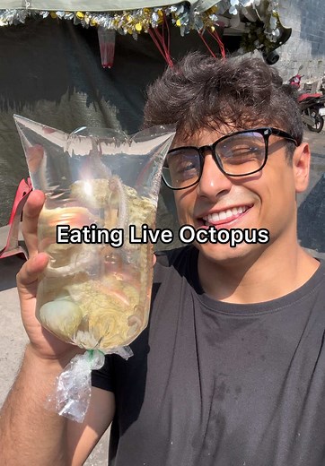 Discover the Live Octopus Mukbang Experience