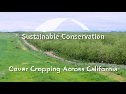 Cover Cropping Across California