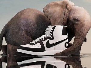 Comme des Garcons x Nike Terminator High sneaker pack: Where to get, release date, and more details