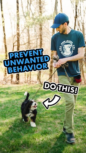 46K views · 946 reactions | These are 5 of the most common things I...