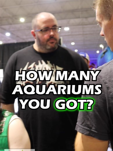 🚨 AQUASHELLA ORLANDO 2026, THIS WEEKEND 🚨 COME SEE ME LIVE AND IN-PERSON at @aquashella ORLANDO, March 14th & 15th, 2026! We will have lots of beautiful plants for sale. Hosting the KIDS LIVE AQUASCAPING CONTEST, Sat. at HIGH NOON at the Dustin’s FishTanks booth. Can’t wait to see you there! FACE TO FACE! LET’S GO! TANK ON! HOW MANY AQUARIUMS YOU GOT❓ Follow us! @DustinsFishTanks https://linktr.ee/dustinsfishtanks