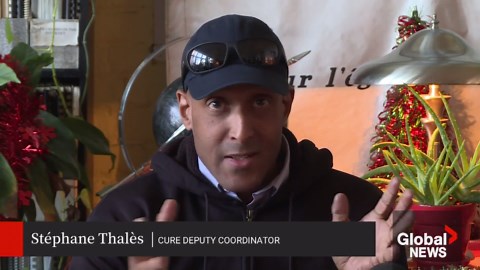 Survey shows racial profiling in commercial context most prevalent