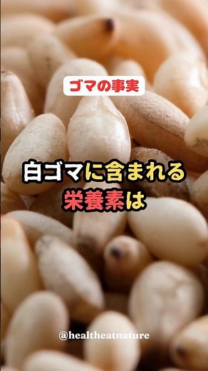 ゴマの事実 白ゴマに含まれる栄養素は、、、#shorts #ゴマ