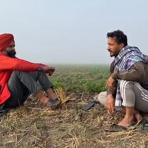 24K views · 847 reactions | #Agriculture #Green #Pakistan #fertilizer #agriculture #Green #Pakistan #farming #life #Pak #Agri #agriculture #GreenPakistan # #agriculture #GreenPakistan #farminglife #PakAgri | Khadim Hussain | Facebook