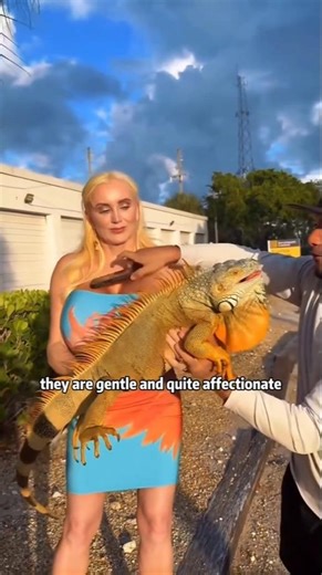 Is this lizard poisonous?