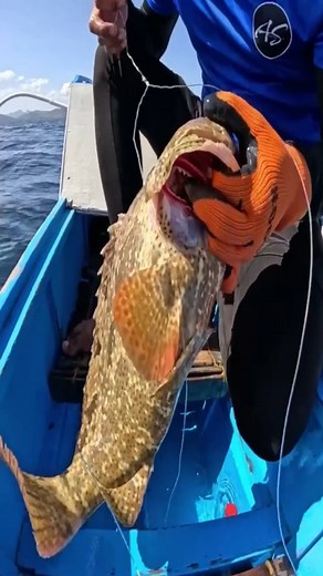 #reelsvideo #foryou #Amazing #fishing #fyp 🐟🐠🐟 | AmazingSea Vlog