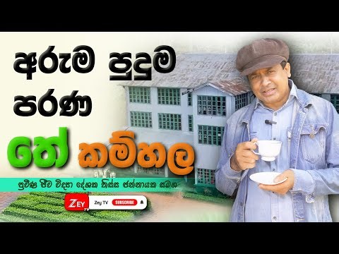 අරුම පුදුම පරණ තේ Factory ය | Tissa Jananayake | ©Zey TV- All Rights Reserved ®