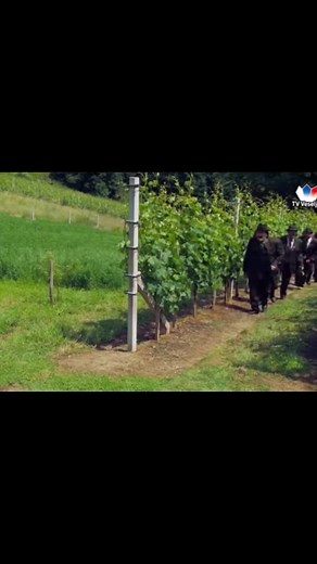 Ansambel Toneta Rusa - Z levo roko pijemo ga lovci mi #ansambeltonetarusa #zlevorokopijemo #slovenskaglasba🇸🇮