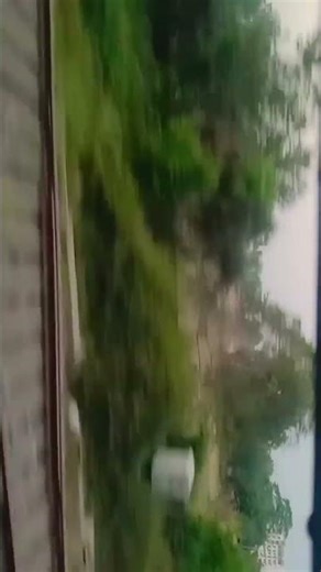 from araria to Aligarh 🥀😍 #viral