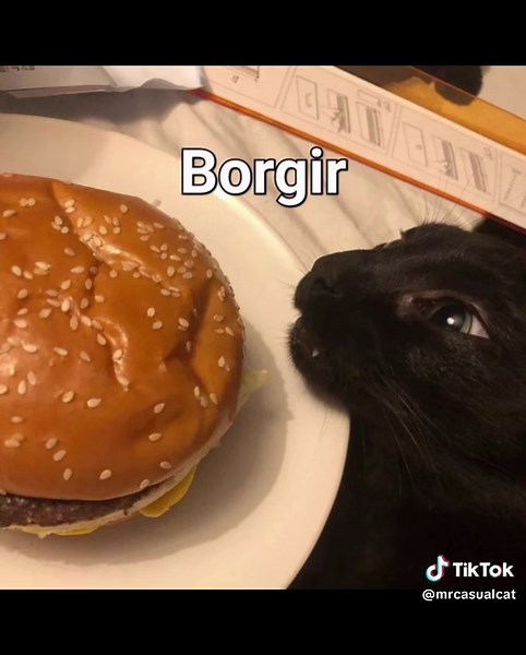 Cursed images I have on my phone Part 5 #cursed #cursedtiktoks #cursedimages #cursedimagesmemes #meme