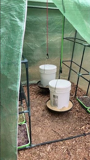 DIY chicken feeder and waterer