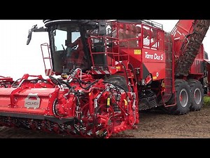 Holmer T5-40 - John Deere - Bergmann / Rübenernte - Harvesting Beets 2022
