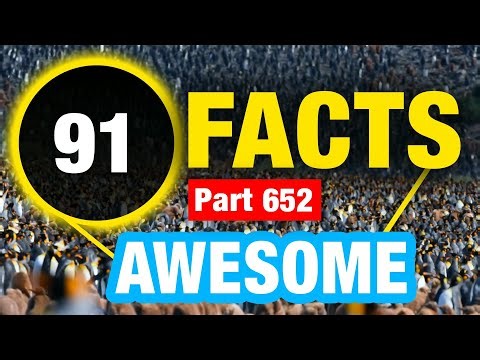 91 World Facts | Incredible Facts