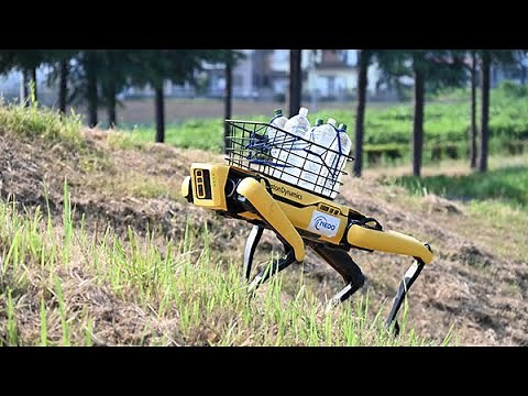 SoftBank and others conduct demonstration experiment to support forestry with "quadruped robot".