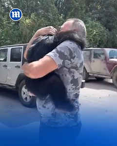 They've been waiting so long for this reunion! 🥹 | Daily Mail Video