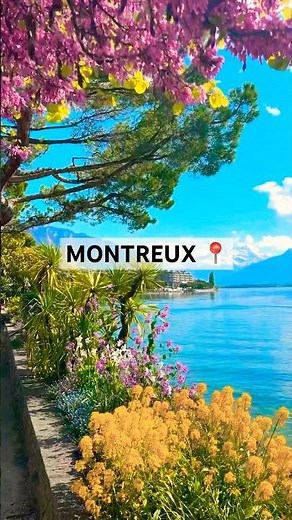 STUNNING VIEW OF SPRING BLOOM IN SWITZERLAND🇨🇭4 MAGICAL PLACES#switzerland#bloom#flowers#nature