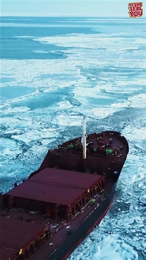 Can China Turn the Arctic Into Its Next Trade Route? #shortsvideo #shorts
