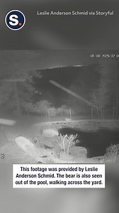 9.9K views · 48 reactions | Midnight dip, anyone?  | storyful | Facebook