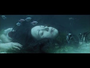 Best Action Scenes - The Chaser [HD]