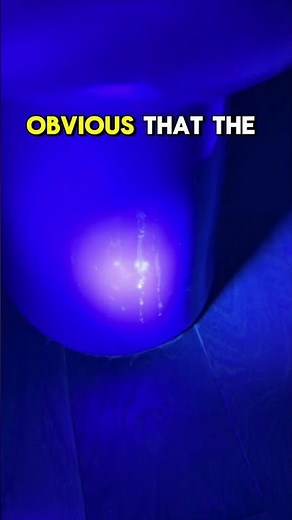 Would YOUR Bathroom Pass the Blacklight Test?