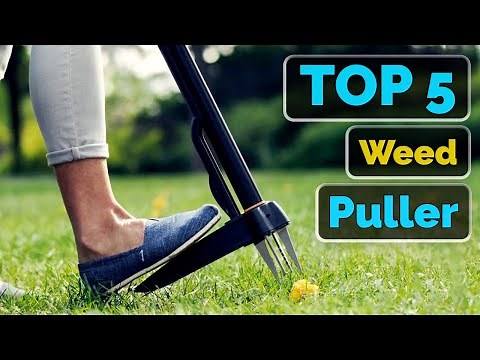 Top 5 Best Stand Up Weed Puller Tools You Can Buy Right Now [2025]