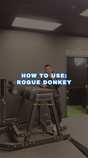 Transform Gym on Instagram: "THE ROGUE DONKEY! 🫏 Our incredible trainer, Kyle, gives a great explanation on how to use this brand new piece of equipment! Not only is it versatile, but great for the gains!😤 Give some of these movements a try when you’re in the gym! —— 📞(720) 633-3167 📨Contact@thetransformgym.com 📍 5181 W 64th Ave, Arvada, CO 80003 #transformgym #rogue #donkey #fitness #gym #denvergyms #gymsindenver #gymcommunity #privategym #coloradogyms"