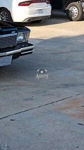 Dallas Original Lowrider Super Show 2024 #lowrideraddictstv #lowrideraddicts #foryourpage #RagKing | Lowrider Addicts