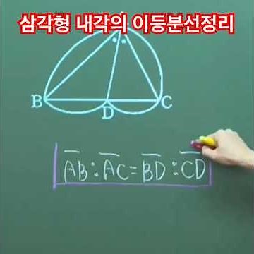 🤯 Triangle Angle Bisector Theorem (Must-read for 8th/9th graders) Why!! For what reason? Such a p...