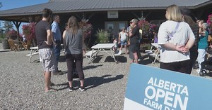 Alberta Open Farm Days takes visitors behind the scenes