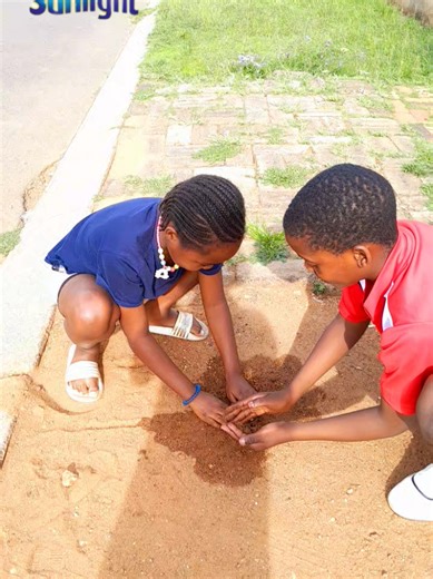 @Sunlight South Africa #fyp #sunlightraisethebarnextgen #dancechallenge #mzansitiktok