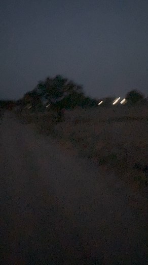 Evening time in village 😎😎🌳🐂 | Cinematic Adventures