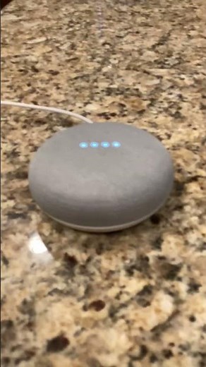 Alexa is better at singing songs than Google