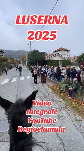 1.6K views · 395 reactions | #mule #horse #cavalli #fiera | Silvano Degio Degiovanni | Facebook