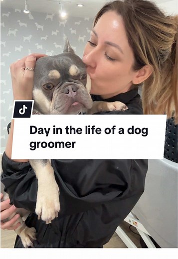 Day in the Life of a Dog Groomer: Full Grooming Routine