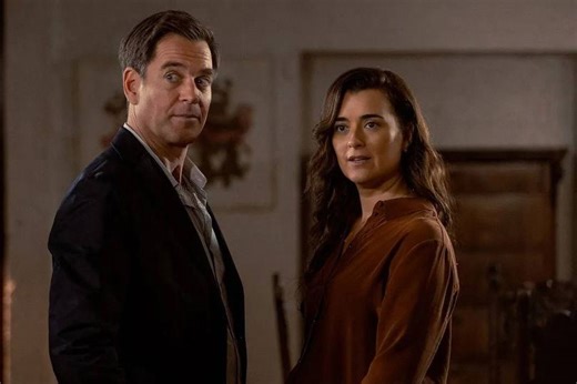 Michael Weatherly candidly shares he felt 'taken care of' by Cote de Pablo after tragic loss