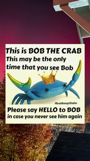 Say hi to bob #memes #funny #viral #foryou #funny #funnymemes