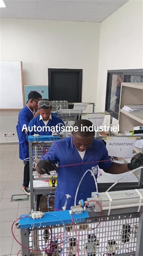Automatisme industriel Terminale E & F1 : formation pratique complète