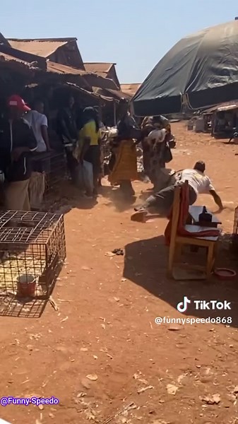 fake Falling prank 😀😃 I #olympic #diddy #atletico #dogstagram #f80 #sporting