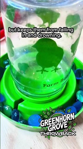 Build a Mobile Brooder Box for Baby Chicks